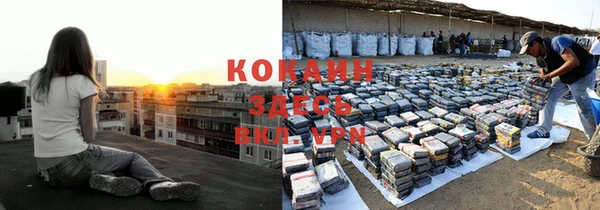 spice Богородск
