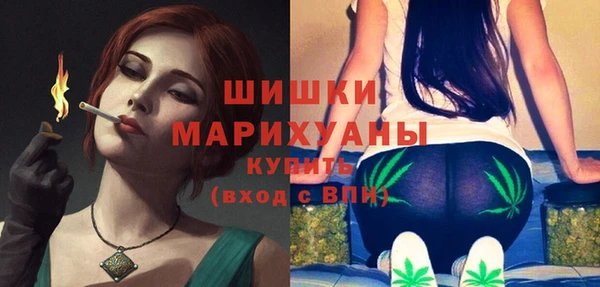 тгк Богданович