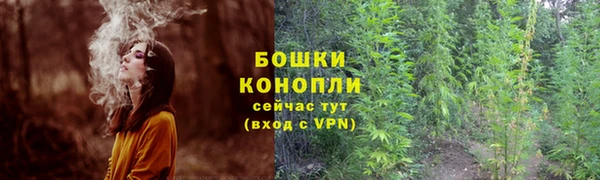 spice Богородск